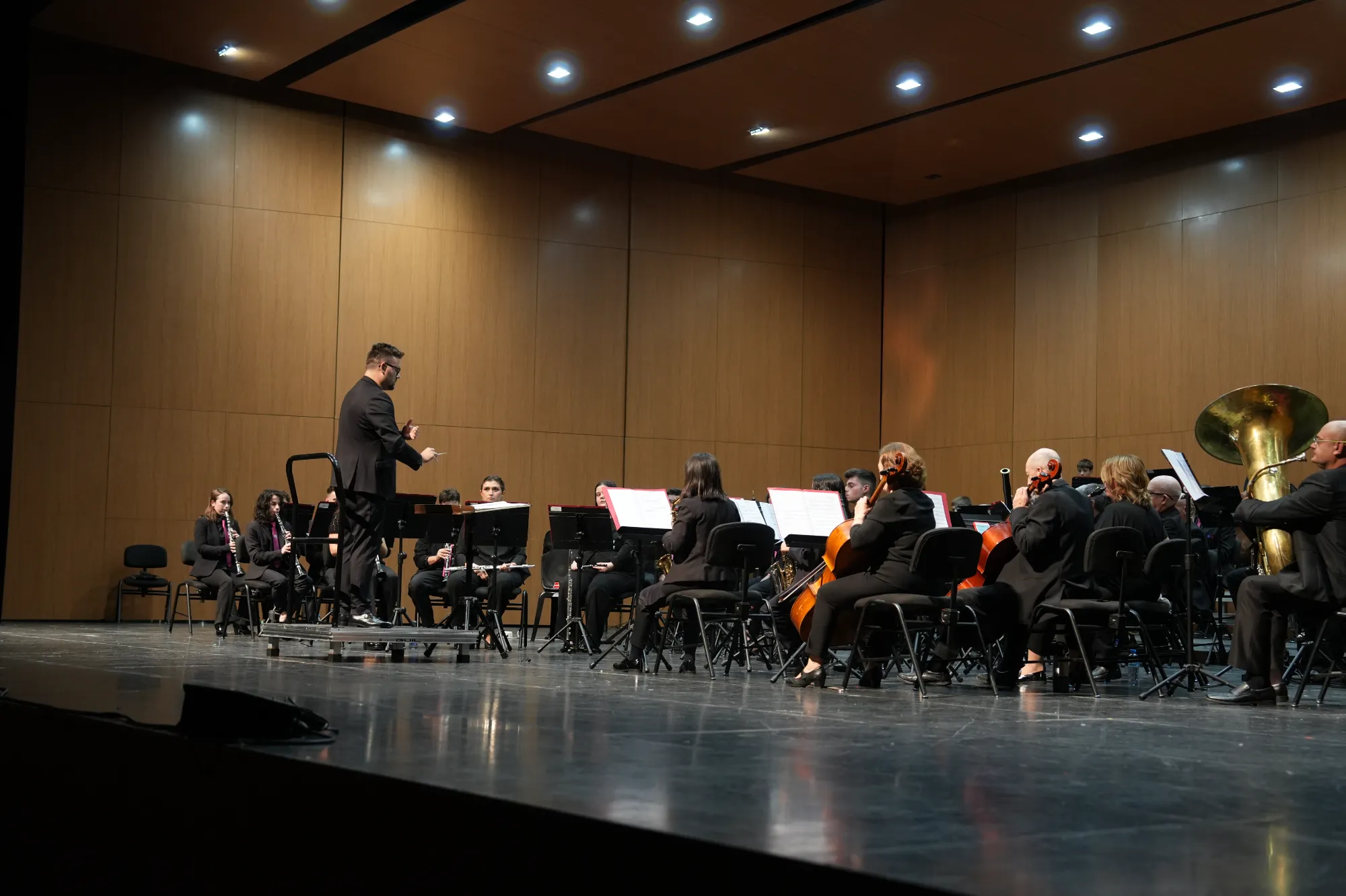 Amor a la música: Santa Cecília